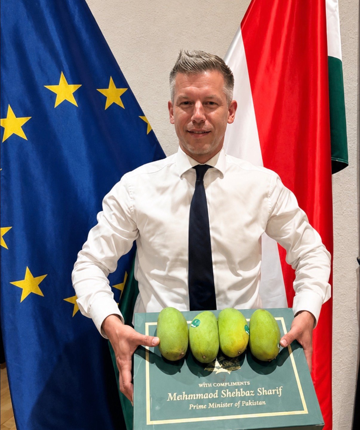 Hungarian PM Thanks Pakistan for 90 Mangoes, Jokes About Erdogan's Revolver Gift